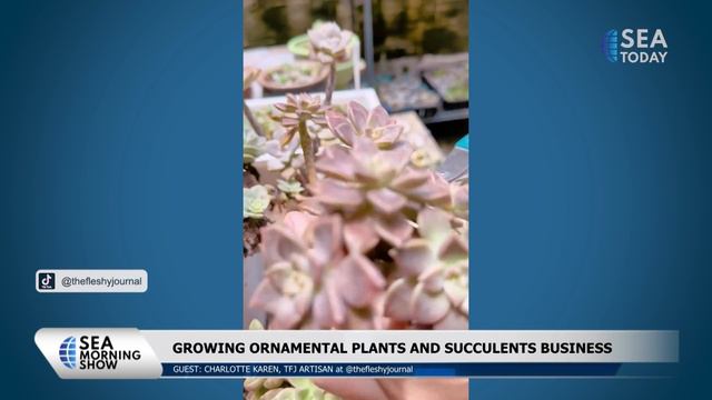 Talk Show: Growing Ornamental Plants and Succulents Business смотреть онлайн
