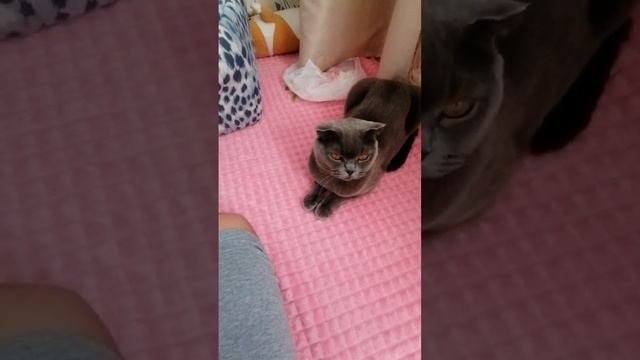 Возвращение! *Что нового за 1-2 года*! смотреть онлайн