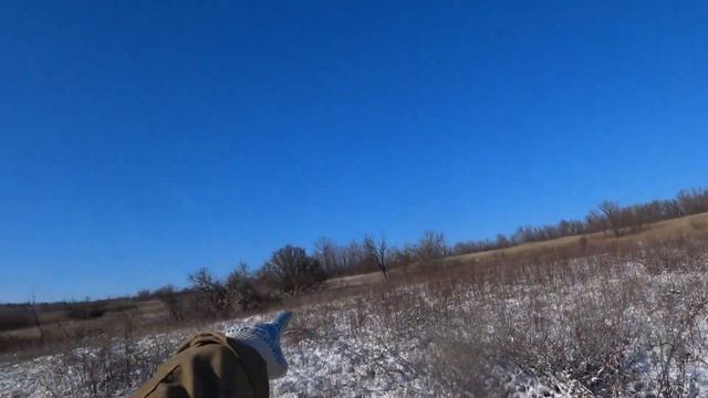 весь заяц в одни руки смотреть онлайн