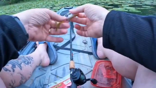 URBAN KAYAK FISHING after a big storm смотреть онлайн