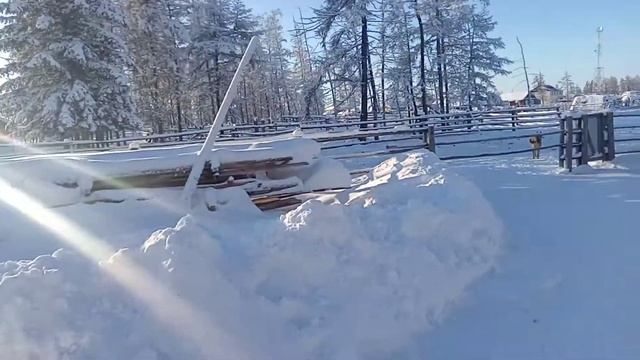 Жизнь в якутской деревне. #2 Видео второе. смотреть онлайн
