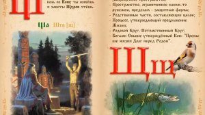 Славянская азбука, буквы славянской азбуки.