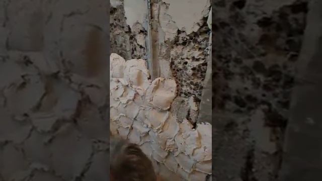 Штукатурка стен. Нанесение толстого слоя штукатурки Unis теплон при помощи шпателя смотреть онлайн