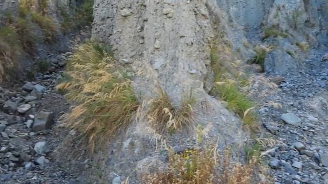 Новая Зеландия. По следам хоббитов и 