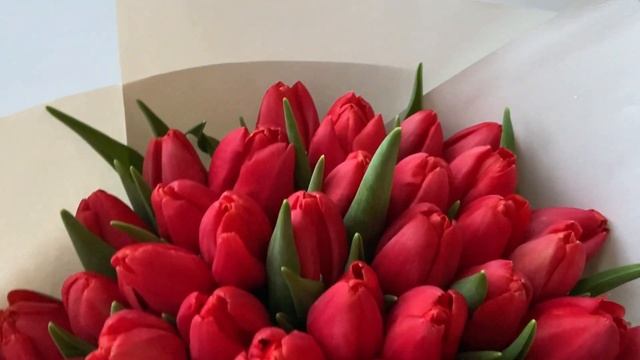 Букет из 51 тюльпана красный смотреть онлайн