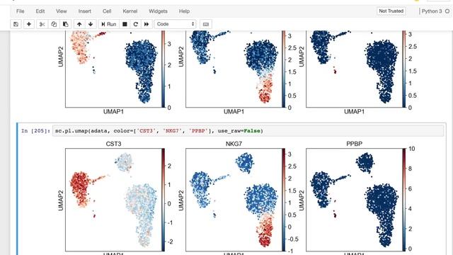 ScanPy Tutorial | STAT 215, Harvard смотреть онлайн