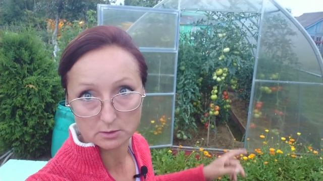 Видео привет с 6 соток 30 июля 2021 год. смотреть онлайн