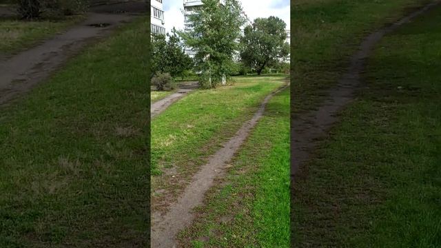 Алинка поёт про свою собаку | Pitbull terrier смотреть онлайн