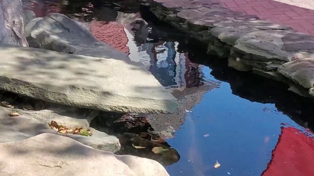 Полуостров CAPE COD-Мини Отпуск-Часть 2 смотреть онлайн