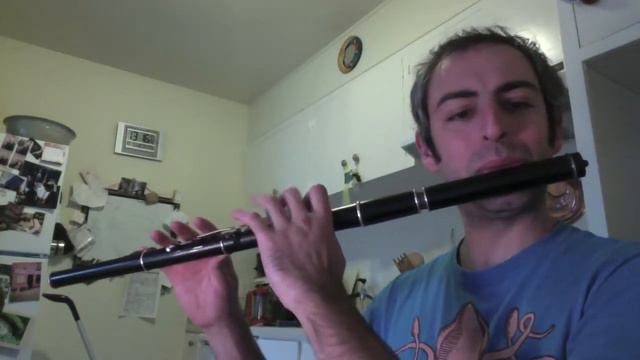 Britches Full of Stitches - Irish Flute - slow/fast смотреть онлайн