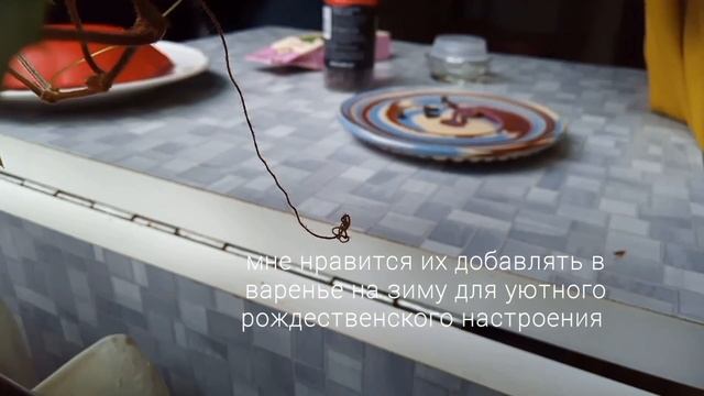 Заготовка Варенье из черники с пряностями? В лес за черникой.Лес после дождя.Вкусный перекус. смотреть онлайн