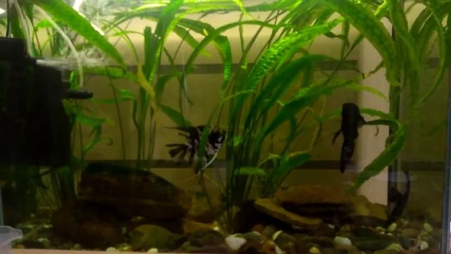 Поделки юли смотреть онлайн