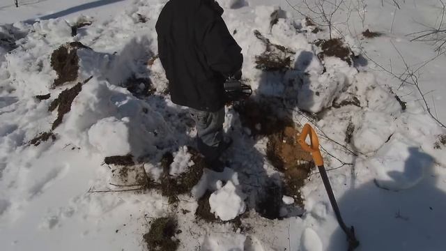 Фортуна м 3 МОНЕТЫ ИЗ ПОД СНЕГА ПОЗДНЯЯ ВЕСНА.№77 смотреть онлайн