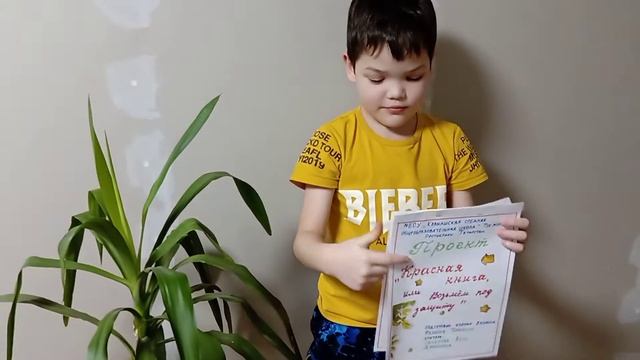 Проект "Красная книга или возьмём под защиту" 2 класс смотреть онлайн