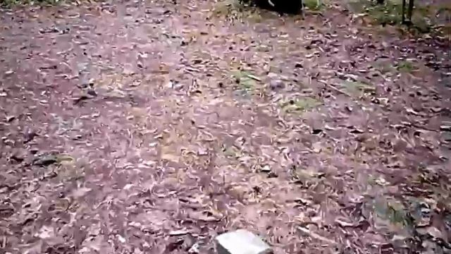 ТОПОР Тренировка Лесной стенд Май 2016 смотреть онлайн