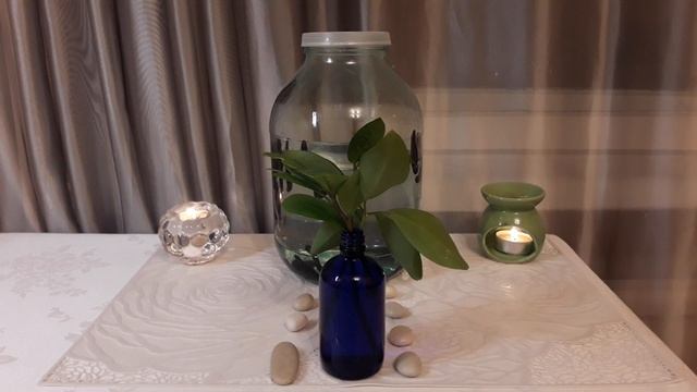 Гирудотерапия в помощь растениям и атмосферы дома смотреть онлайн