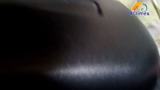 Попытка сохранения икры Скалярий в общем аквариуме смотреть онлайн