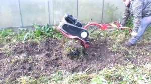 ФРЕЗИРУМ ПОЧВУ НА МОТОБЛОКЕ АГАТ|ФРЕЗЫ ГУСИНАЯ ЛАПКА #мотоблокагат #мотоблок #агат #гусиныелапка