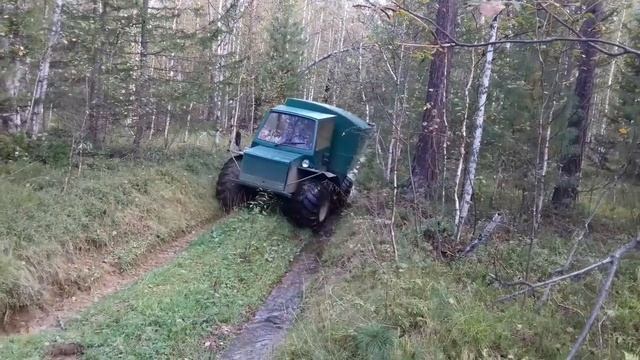 За клюквой 2 смотреть онлайн
