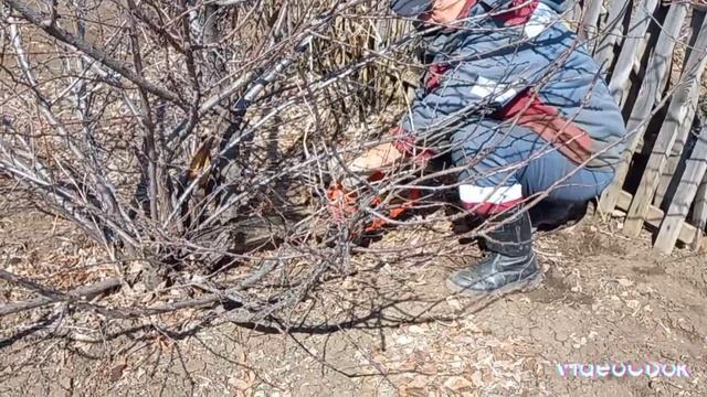 2 дня из нашей жизни.. смотреть онлайн