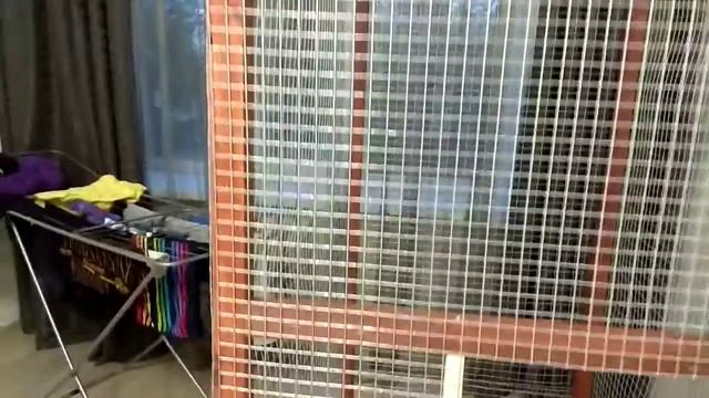 Вальер (клетка) для попугаев своими руками) смотреть онлайн