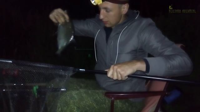 Ловля Леща Ночью. Фидер. Июнь 2017. Беларусь. смотреть онлайн