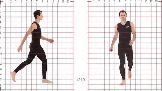 референс походки