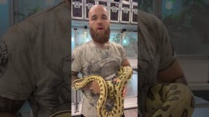 EKZOMANIA ПОМОГАЕТ ЖИВОТНЫМ/ПЕРВЫЕ ОСТАВЛЕННЫЕ РЕПТИЛИИ