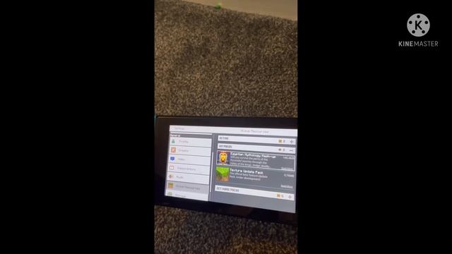 HOW TO MAKE YOUR MINECRAFT REALISTIC FOR FREE ON NINTENDO SWITCH!!! смотреть онлайн