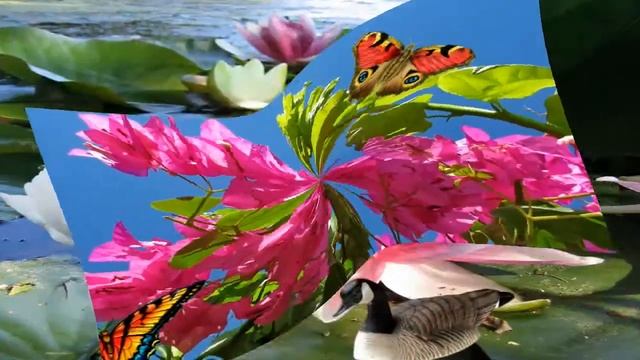 Пожелание с добрым утром! смотреть онлайн