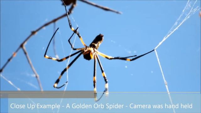 FujiFilm FinePix HS20EXR Sample Video смотреть онлайн