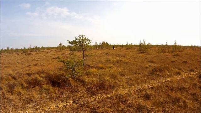 Мотобуксировщик Ураган болото 3 Базовая модель смотреть онлайн