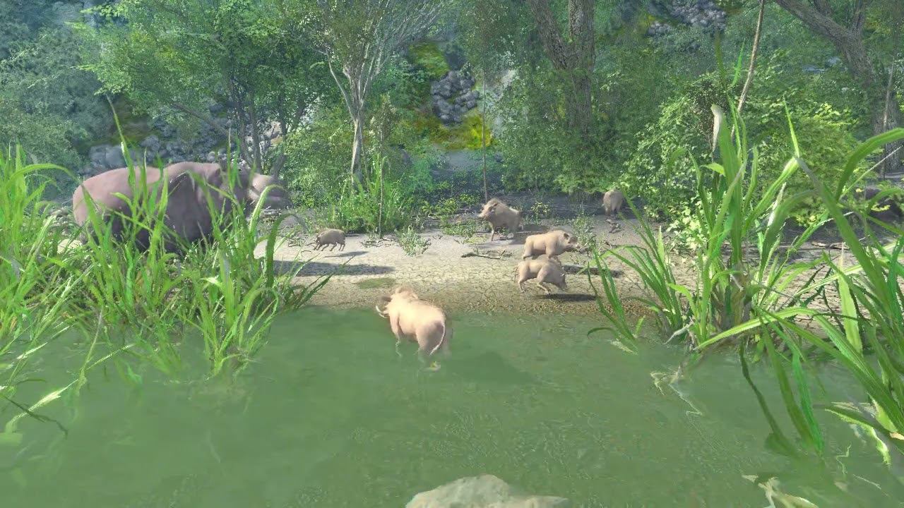 Wild Life CE2 смотреть онлайн