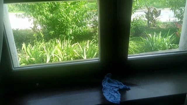 Чему может научить пыль на подоконнике? смотреть онлайн