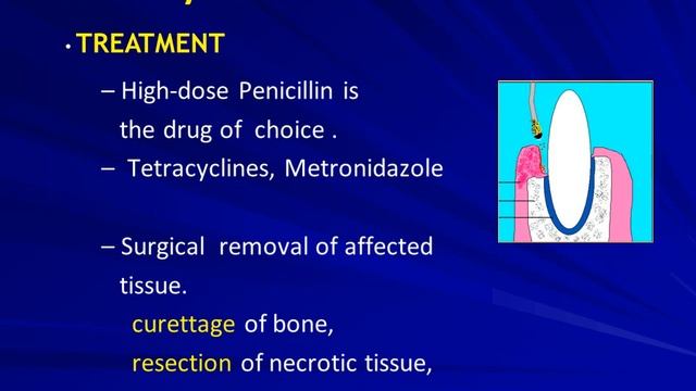 Actinomycetes, Nocardia смотреть онлайн