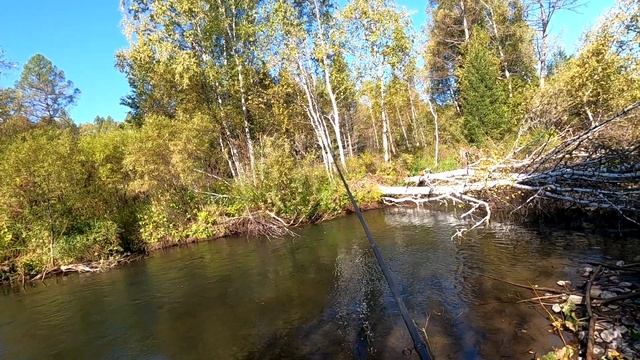 Рыбалка на ХАРИУСА/Начало было ОГОНЬ! А потом БАЦ!!! и ГОЛЮН. смотреть онлайн