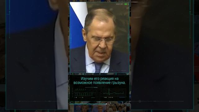 Как Лаврову мышь на пресс конференции показалась смотреть онлайн