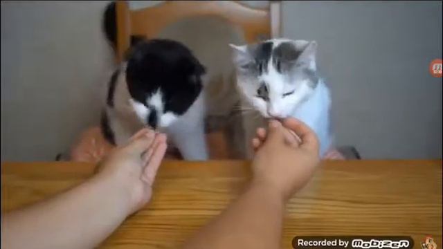 Реакция на новое видео ану-ка давай-ка #1 первая смотреть онлайн