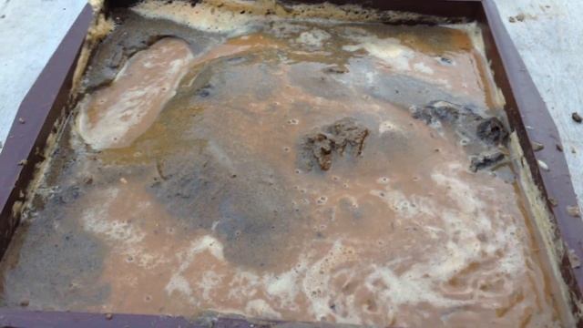 IMG 2655 смотреть онлайн