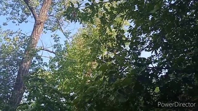 Турбаза, п.Чардым, р.Волга!!! смотреть онлайн