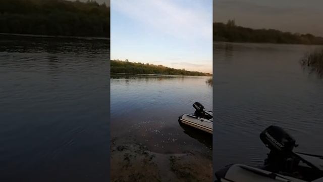 выбрались на рыбалочку 03.06.22 река Унжа. смотреть онлайн