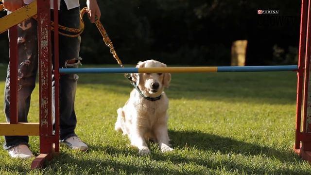 Упражнение 