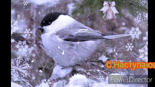 Авторские стихи С Наступающим Новым Годом!!! от Елены смотреть онлайн