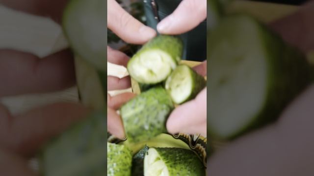 Встречаем китайский Новый год! смотреть онлайн