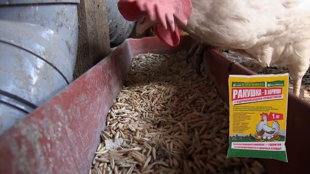 Строительная Стратегия