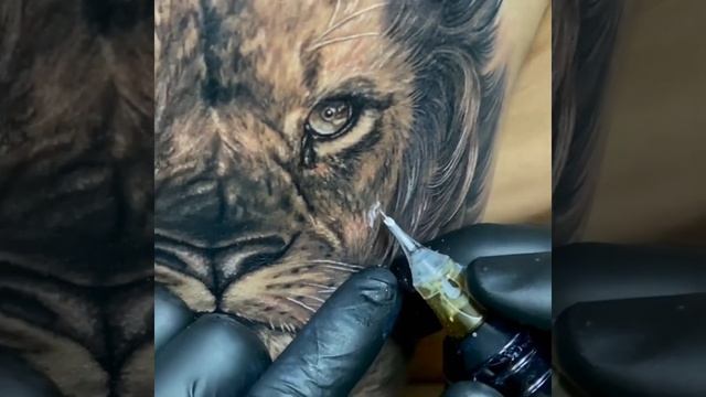 Lion Tattoo #tattoo #tattooartist #tatuaje #pepaxlance #pepaxcartridges #yuelongtattoo