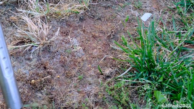 Numatic Henry Vacuum Destruction (Long Version) смотреть онлайн