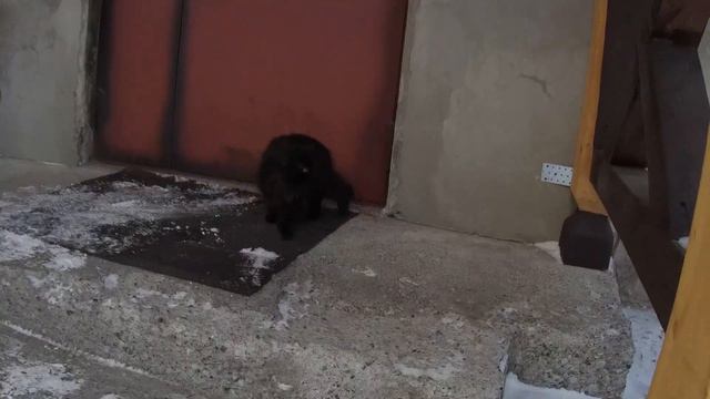 Эльбрус. Февраль. 2023г смотреть онлайн