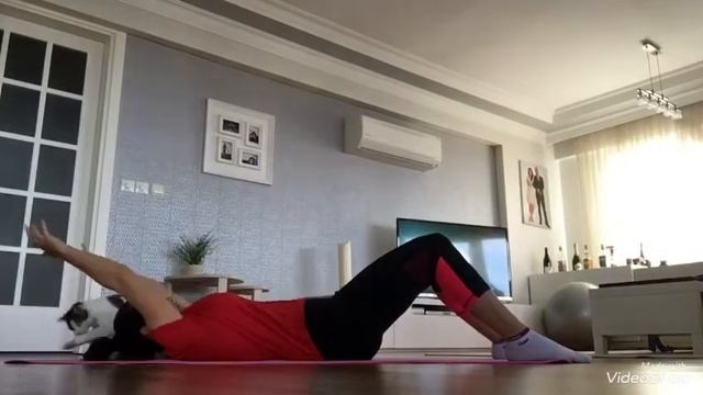 Кошка мешает заниматься спортом | cat against sport смотреть онлайн