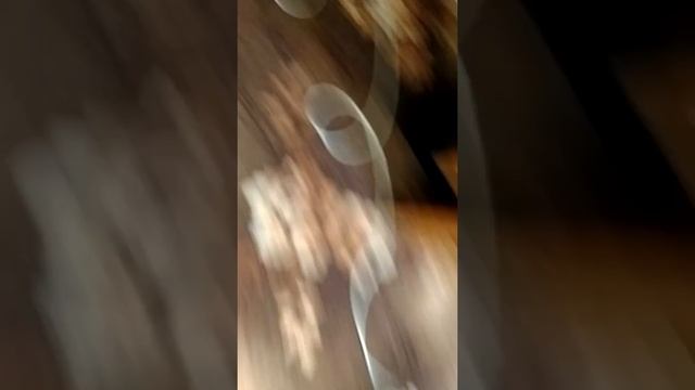 16 листопада 2020 р. смотреть онлайн